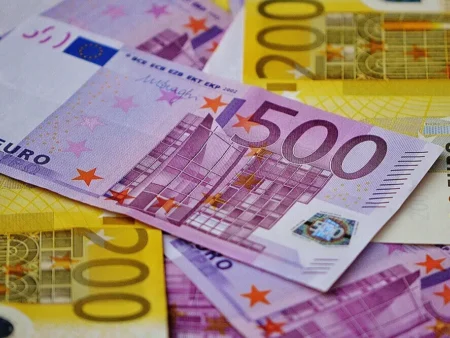 НБУ наразі не має наміру встановлювати євро як основну валюту для формування курсу гривні