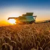 Україна робить ставку на кооперативи у сільському господарстві