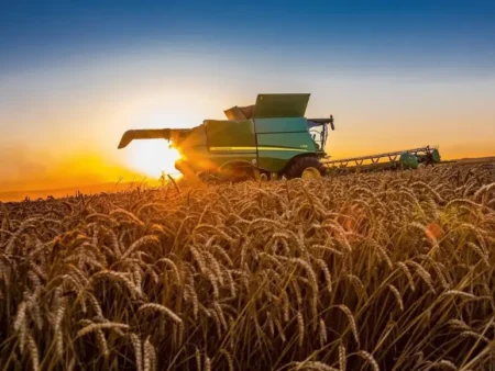 Україна робить ставку на кооперативи у сільському господарстві