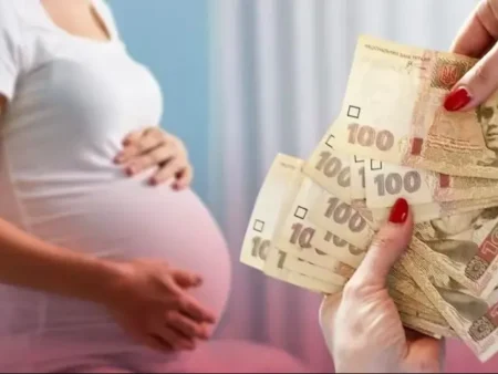 Як отримати грошову допомогу під час вагітності у 2025 році