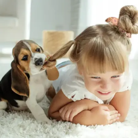 Квартира в оренду в Україні: чому з дітьми та тваринами майже неможливо заселитися