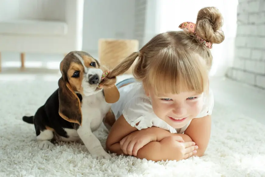 Квартира в оренду в Україні - чому з дітьми та тваринами майже неможливо заселитися