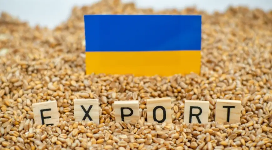 Поляки просять повернути транзит - Україна переорієнтувалася, а Польща рахує збитки